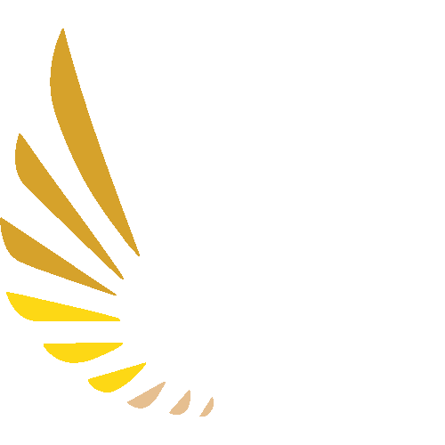 NFA20 Winner